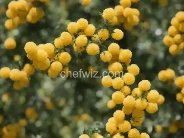 Classic Mimosa Recipe