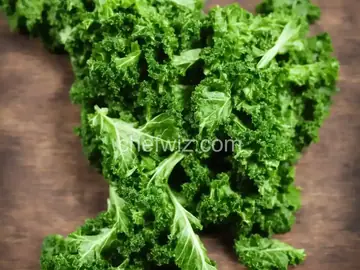 Kale Pesto