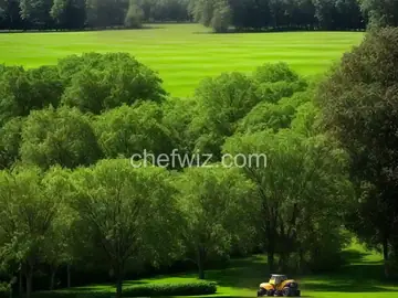 Lawn Mower Salad
