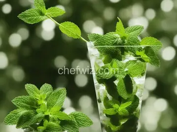 Mint Mojito