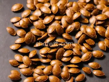 Roasted Pumpkin Seeds