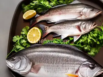 Baja Barramundi