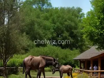 Baltimore Zoo