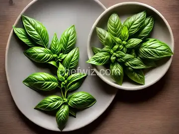Basil Gimlet