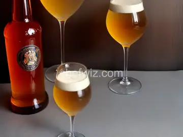 Belgian Tripel (For Beginning Homebrewers) Recipe