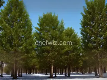 Candy Melt Trees