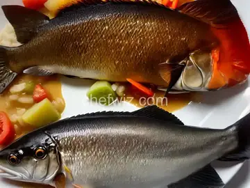 Captain Kofi's Candlelight Catfish
