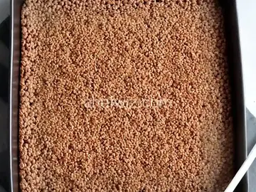 Cocoa Krispies Treats TM