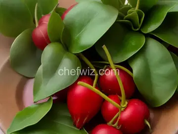 Costa Rican Sorrel Wine