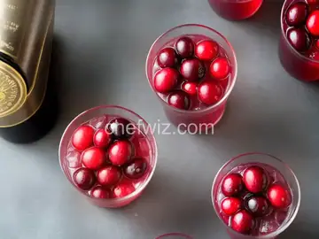Cranberry Negroni Recipe