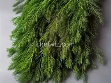 Dill infused oil