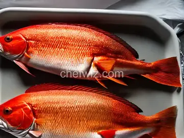Gulf Coast Red Snapper