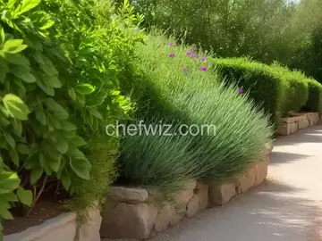 Herbs de Provence