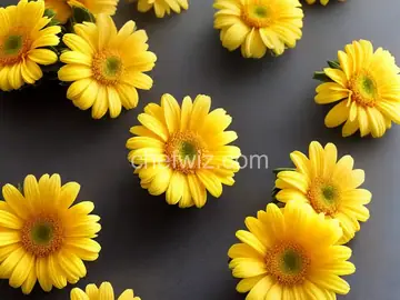 Lemon Pineapple Daisy Bites