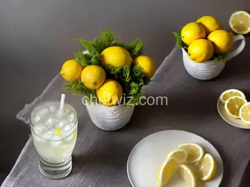Lemonade Plus