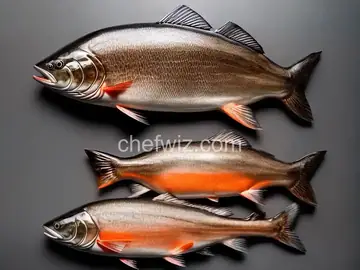 Paper Salmon