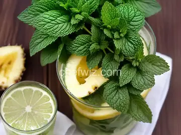 Pineapple-Mint Mojito