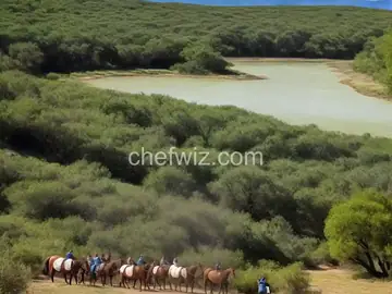 Ranch Water