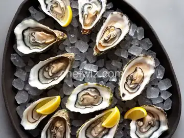 Raw Oysters on the Half Shell