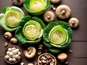 Savoy Cabbage and Mushrooms