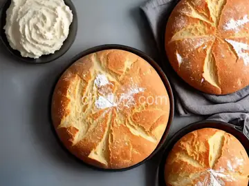 Sourdough Starter I
