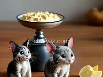 Tom and Jerry Mix