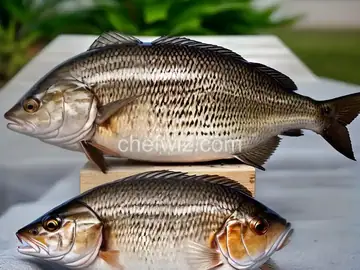 Whole Striped Bass