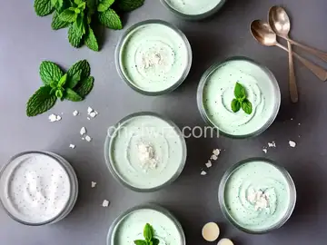 Yogurt Mint Sauce Recipe