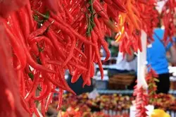 Red Chile Salsa