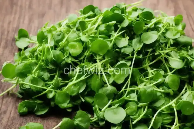 Watercress Salad
