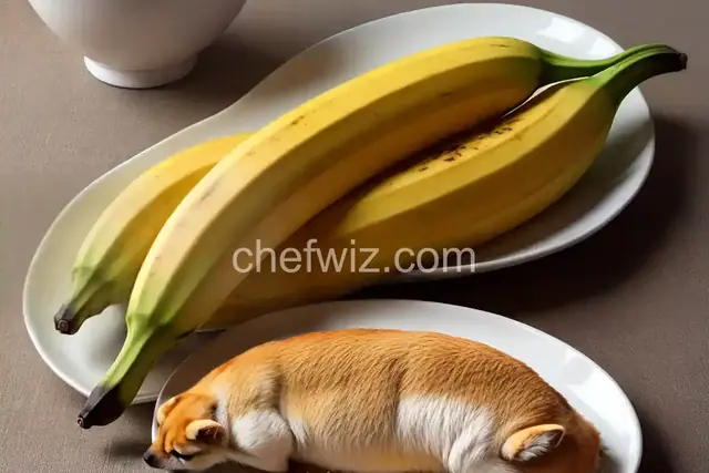 Banana Dog