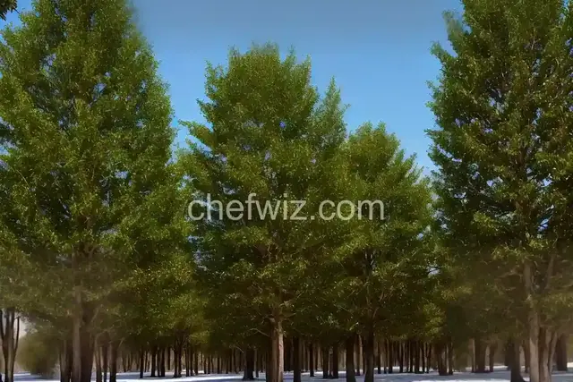 Candy Melt Trees
