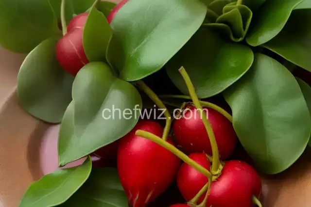 Costa Rican Sorrel Wine