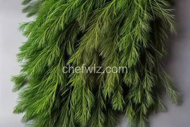 Dill infused oil