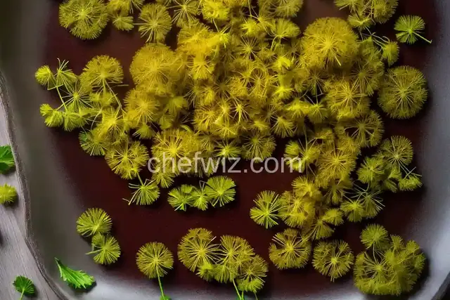 Fried Dandelions (Appalachian Style)