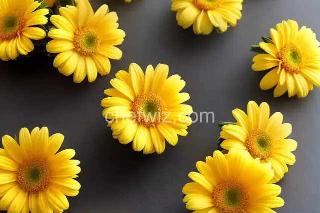 Lemon Pineapple Daisy Bites