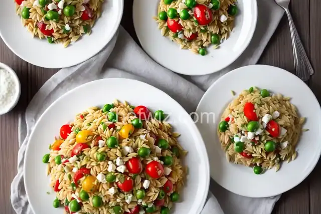 Orzo Salad with Feta, Olives and Bell Peppers