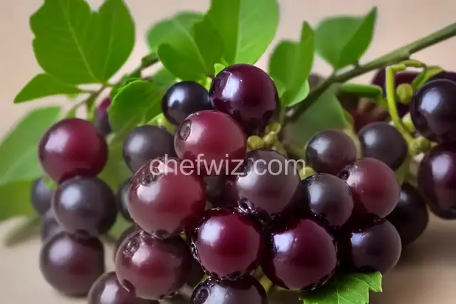 Prosecco Grapes