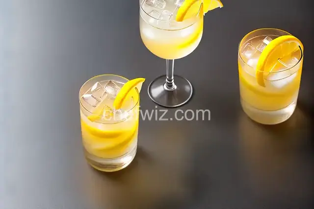Tom Collins Cocktail