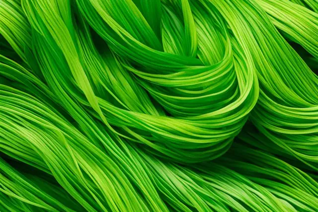 Unleashing Freshness: All About Lime Zest