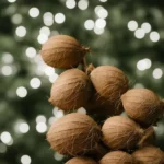 Coconut Cream compressed image3