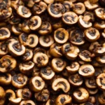 Grilled Mushrooms compressed image1