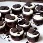Oreo Mini Cheesecakes compressed image1 1