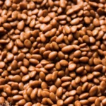 Pinto Beans compressed image1