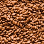 Pinto Beans compressed image3
