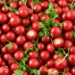 Roasted Radishes compressed image3