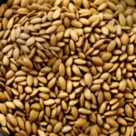Baked Ranch Sunflower Seeds compressed image1