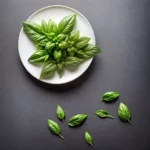 Basil Gimlet compressed image1
