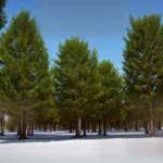 Candy Melt Trees compressed image1