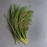 Chive Oil From Daniel compressed image1